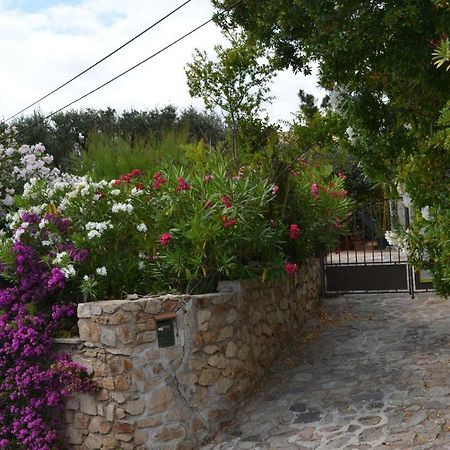 Apartment Les Moulins Σαιν-Τροπέ Εξωτερικό φωτογραφία